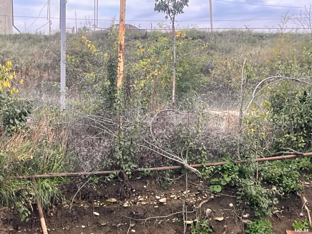 Satılır torpaq sahəsi