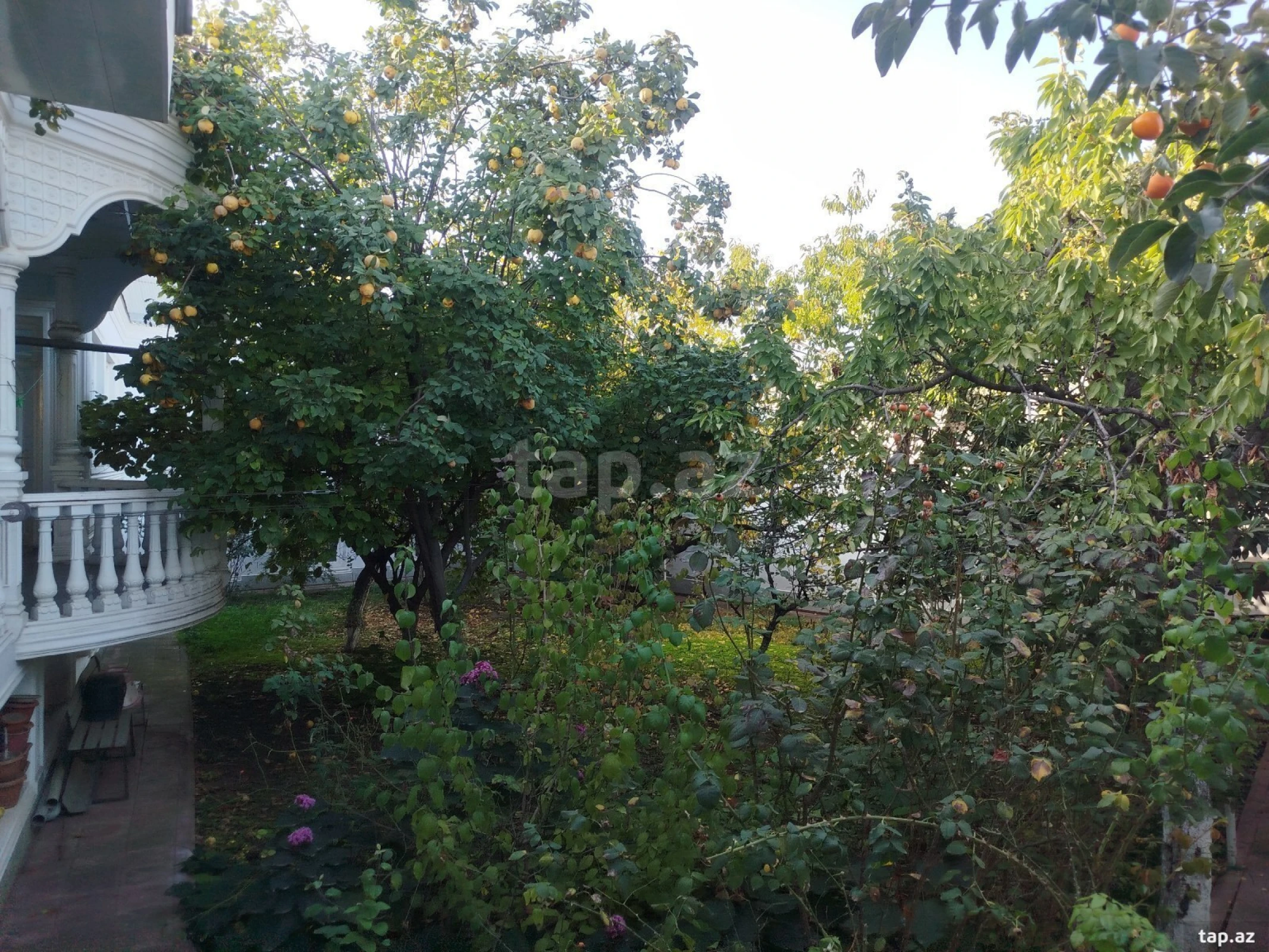 Satılır 4 otaqlı həyət evi