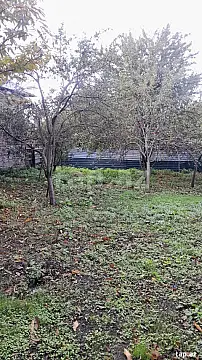 Satılır torpaq sahəsi — Qəbələ