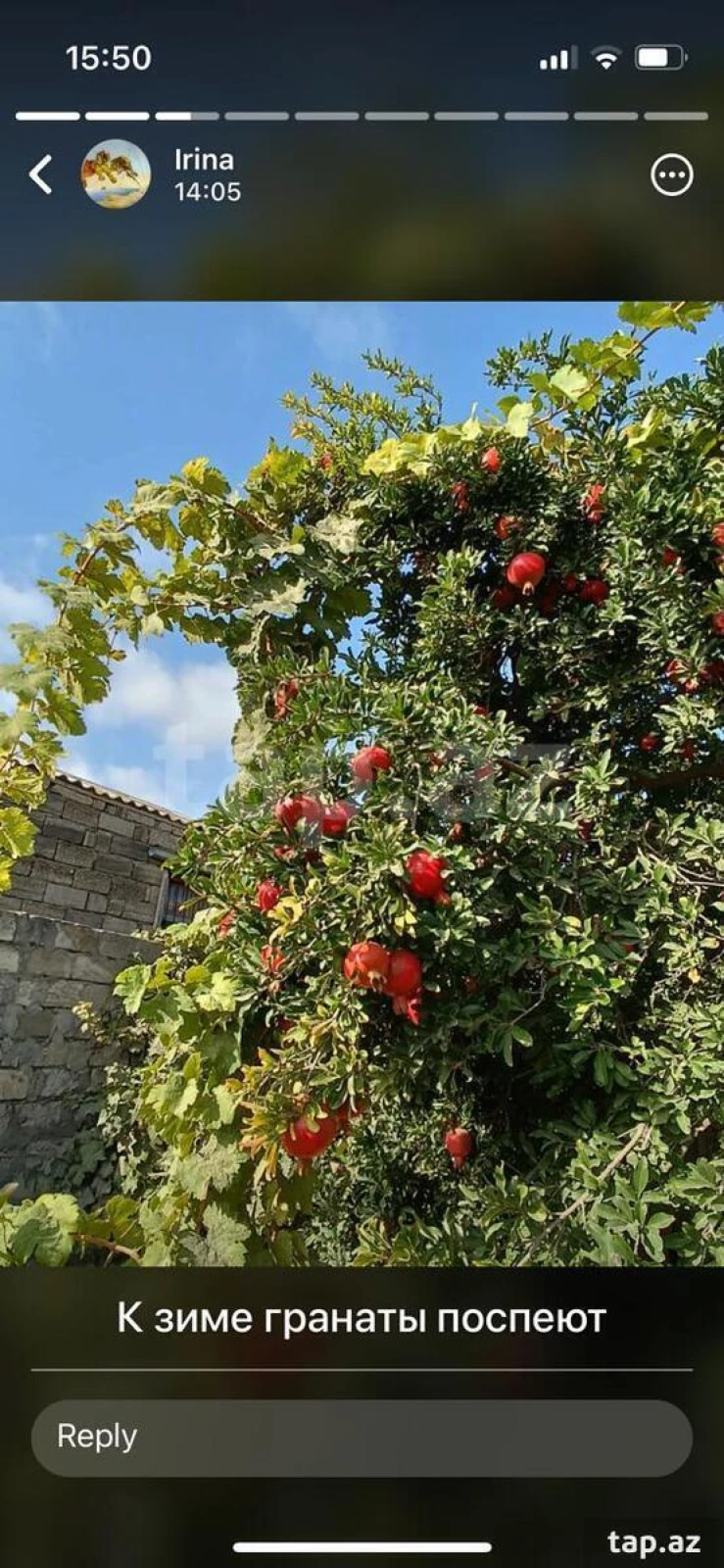 Kirayə verilir 3 otaqlı həyət evi 100 m²