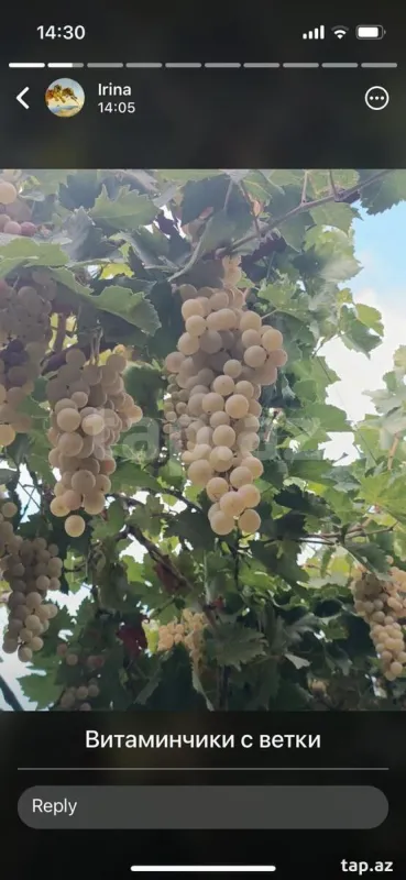 Kirayə verilir 3 otaqlı həyət evi 100 m²