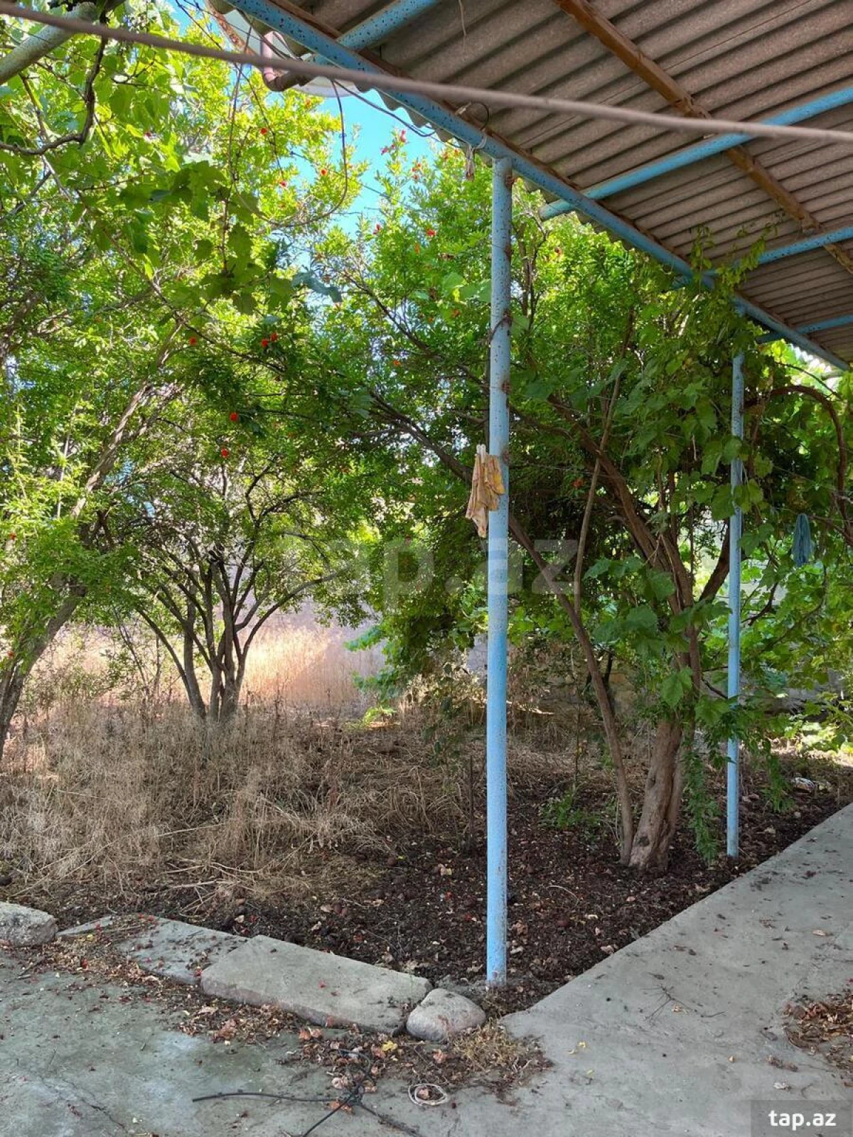 Kirayə verilir 3 otaqlı həyət evi 100 m²