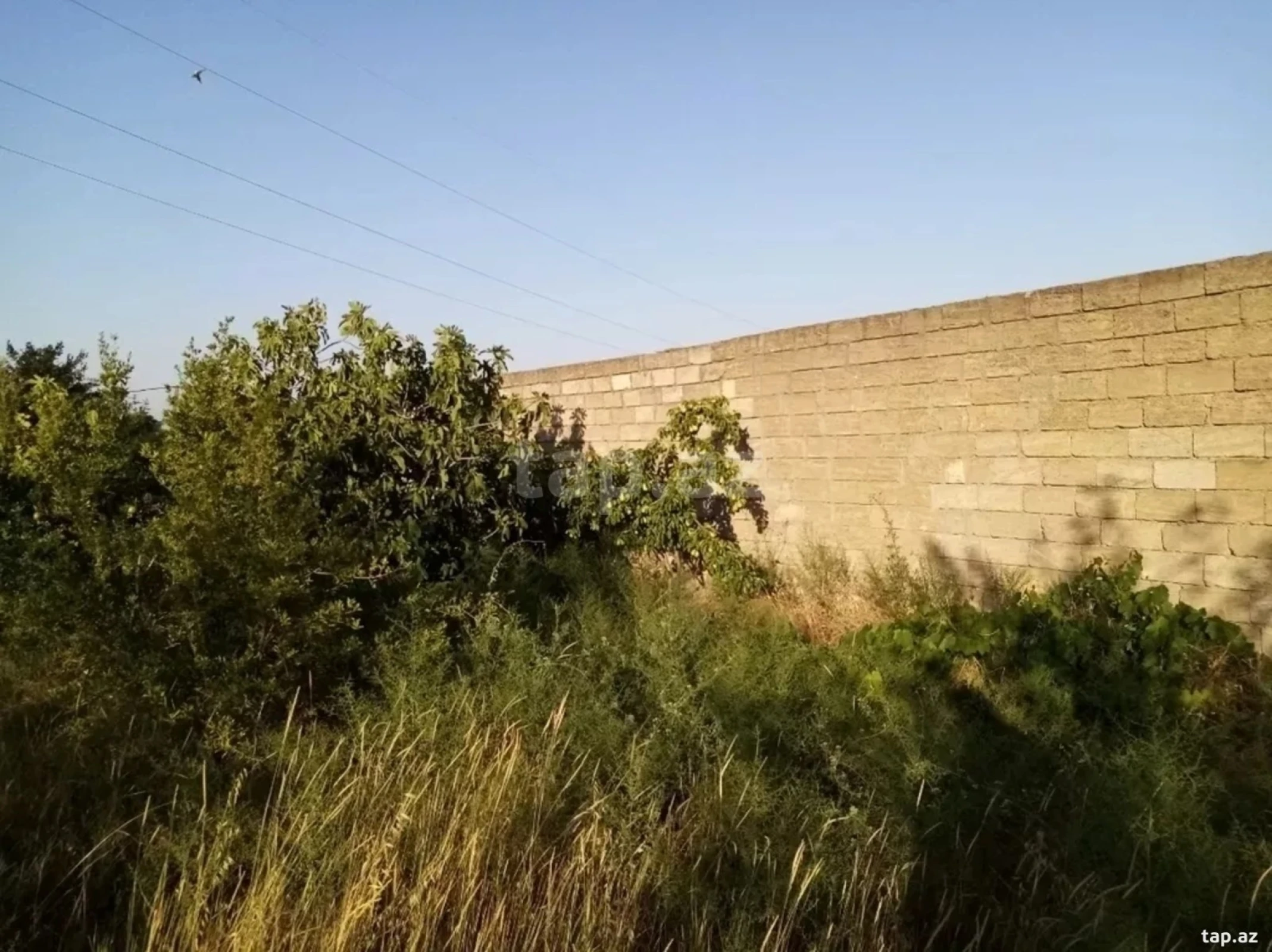 Kirayə verilir 2 otaqlı həyət evi