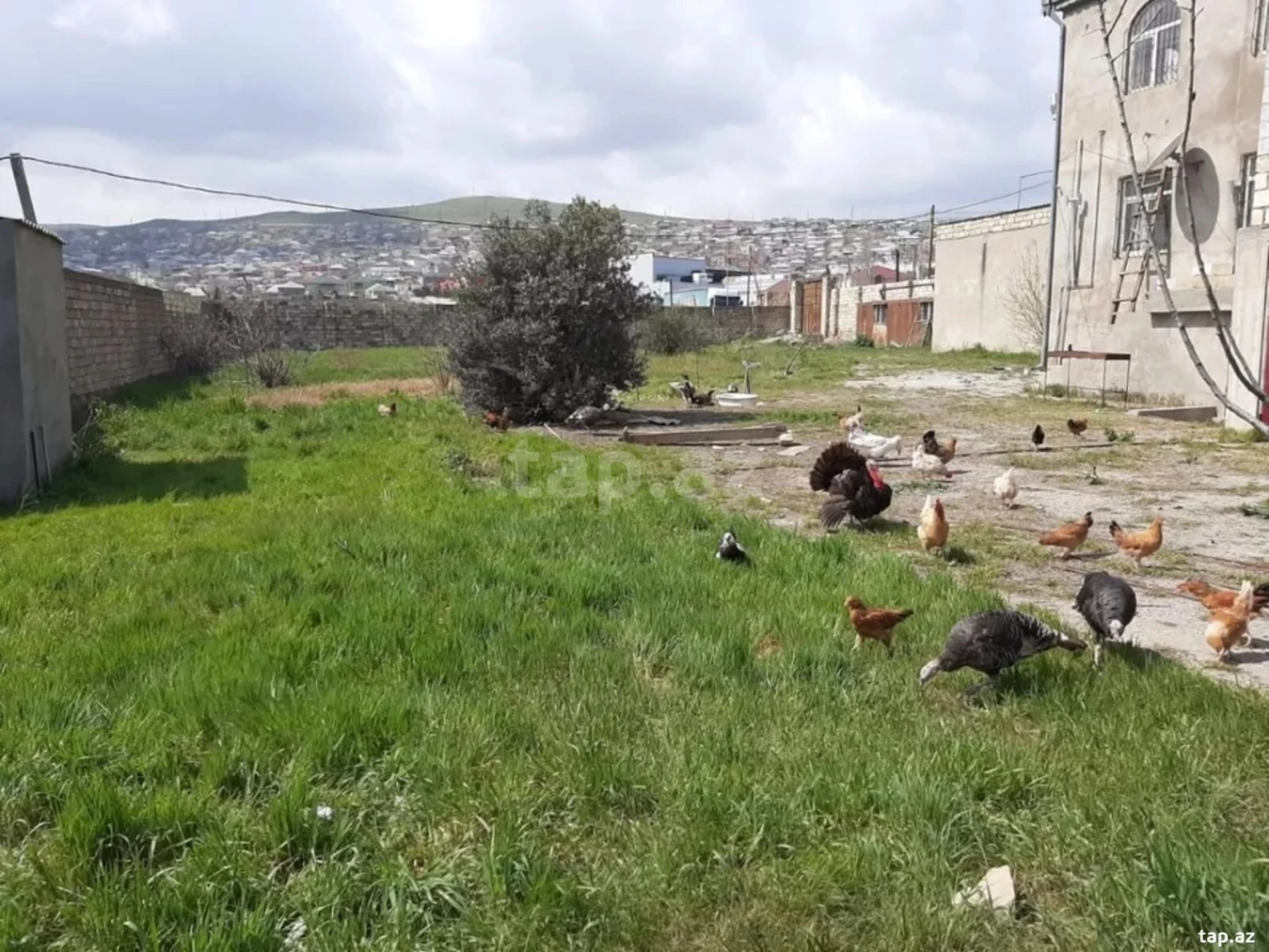 Kirayə verilir 2 otaqlı həyət evi