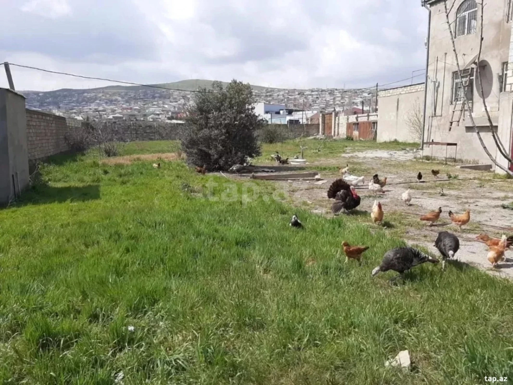 Kirayə verilir 2 otaqlı həyət evi