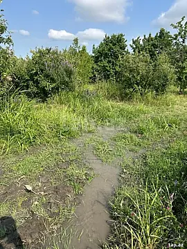 Satılır torpaq sahəsi — Quba