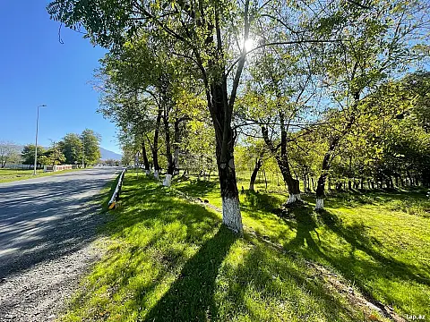 Satılır torpaq sahəsi — Zaqatala