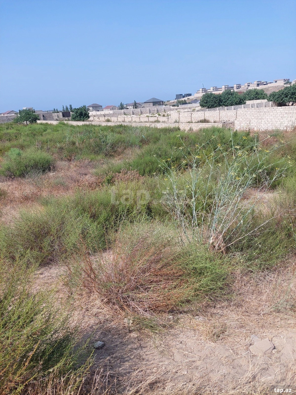 Satılır torpaq sahəsi