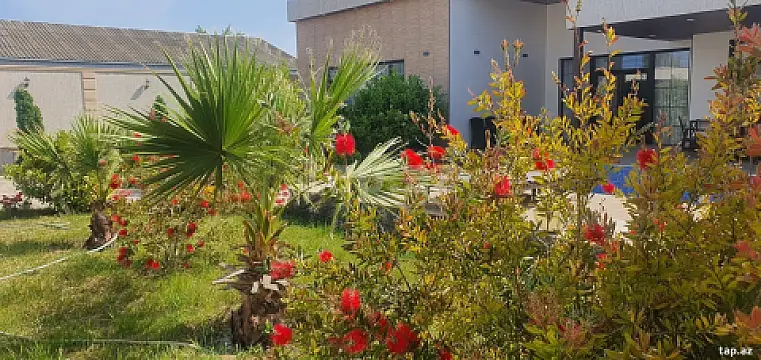 Kirayə verilir 3 otaqlı həyət evi