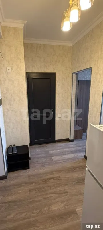 Kirayə verilir 2 otaqlı yeni tikili 40 m²