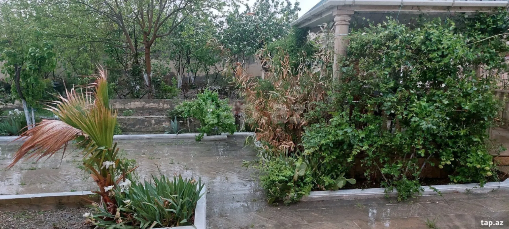 Kirayə verilir 2 otaqlı həyət evi