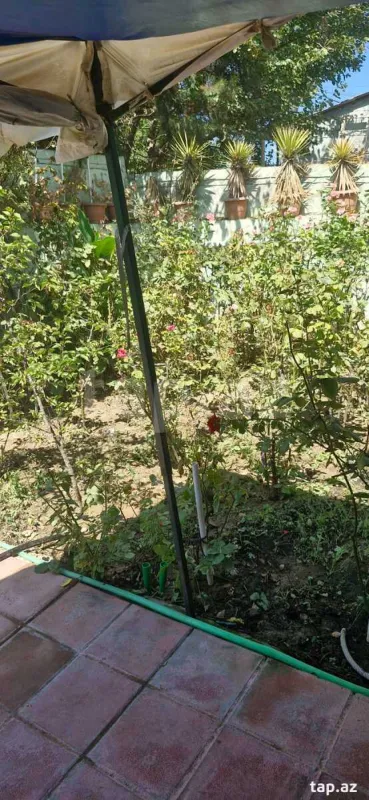 Satılır 3 otaqlı həyət evi