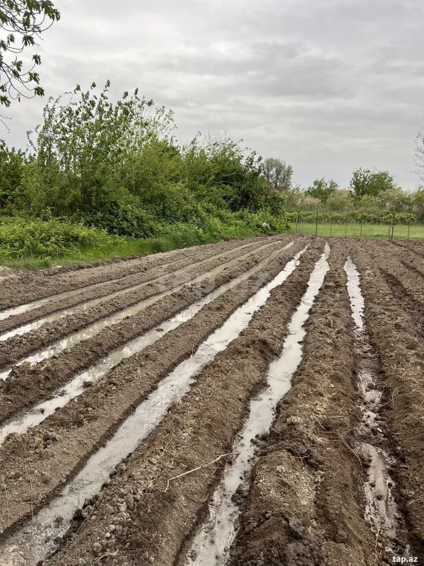 Satılır 3 otaqlı həyət evi 700 m²