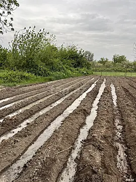 Satılır 3 otaqlı həyət evi 700 m²