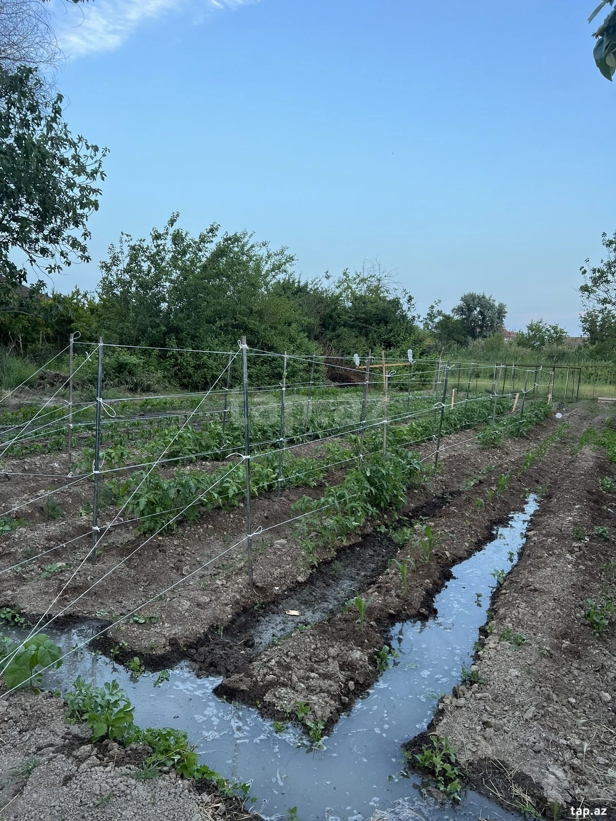 Satılır 3 otaqlı həyət evi 700 m²