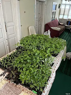 Satılır 3 otaqlı həyət evi 700 m²