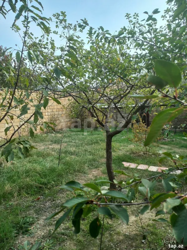 Satılır 8 otaqlı həyət evi 140 m²