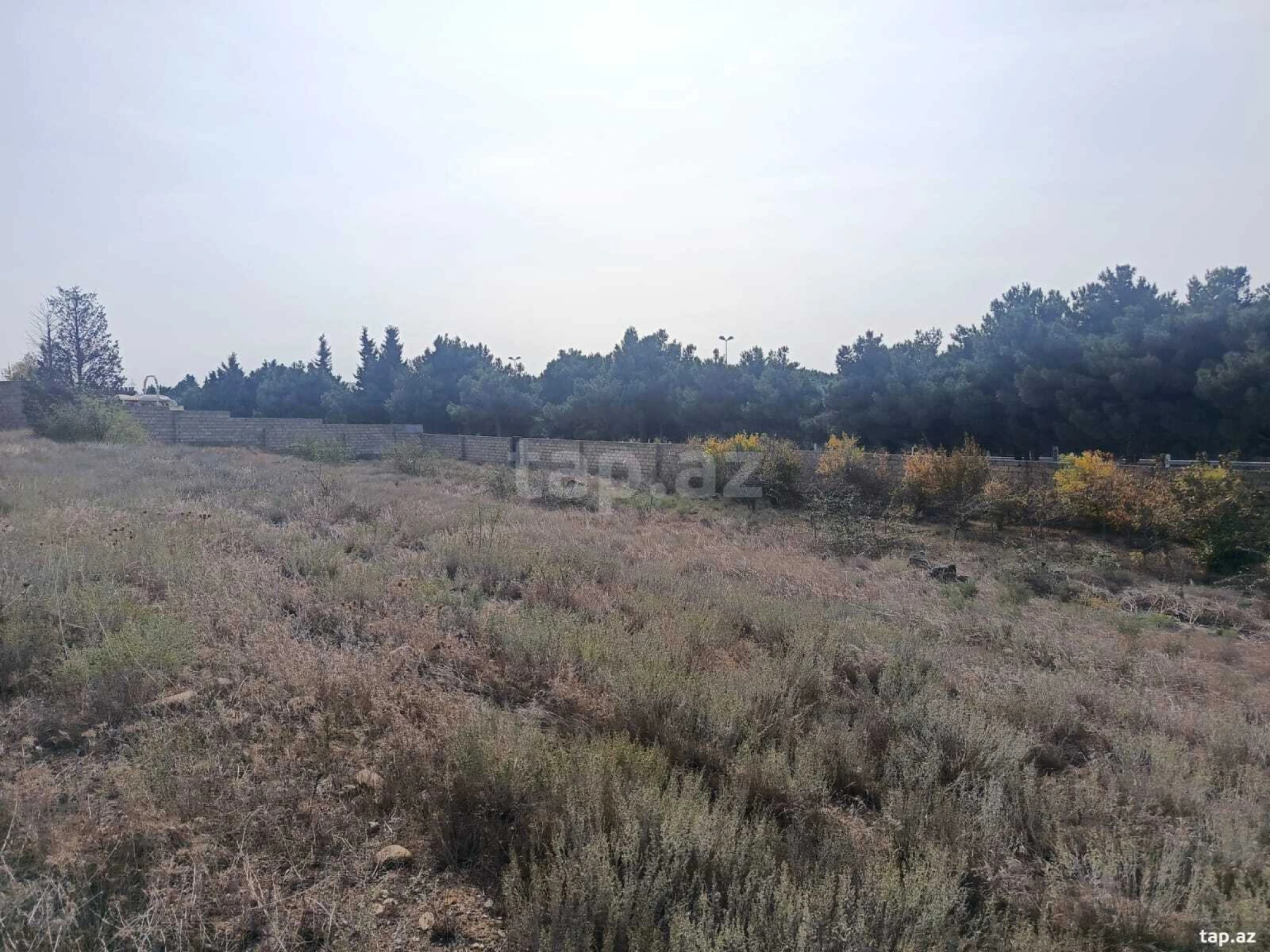 Satılır torpaq sahəsi