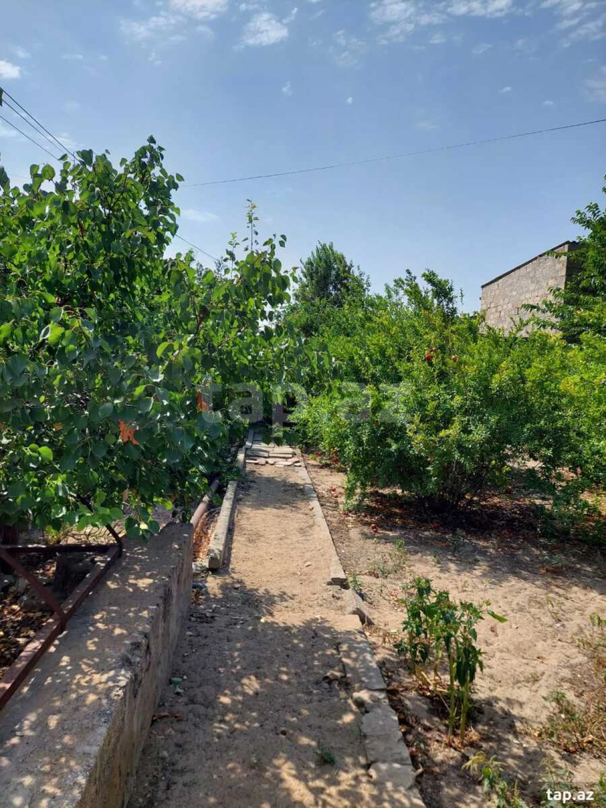 Satılır 3 otaqlı həyət evi 80 m²