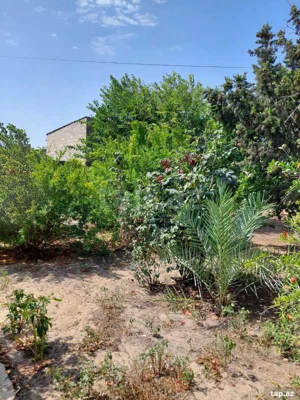 Satılır 3 otaqlı həyət evi 80 m²