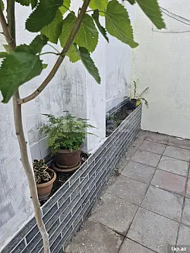 Satılır 3 otaqlı həyət evi