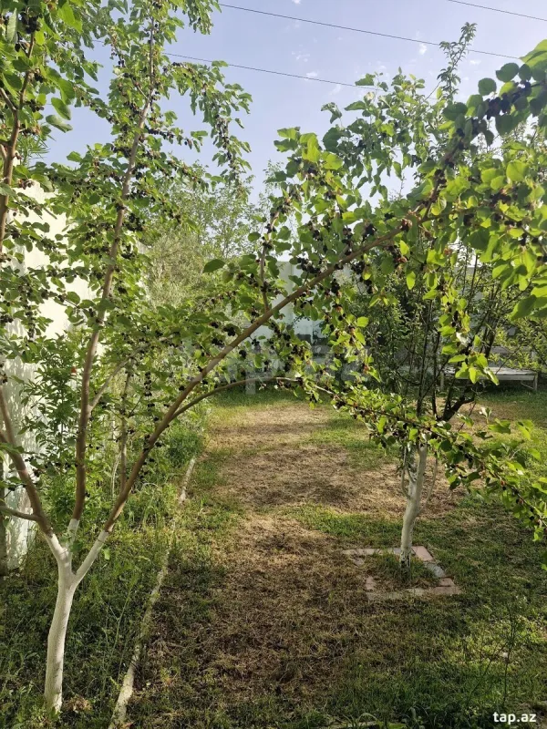 Satılır 3 otaqlı həyət evi