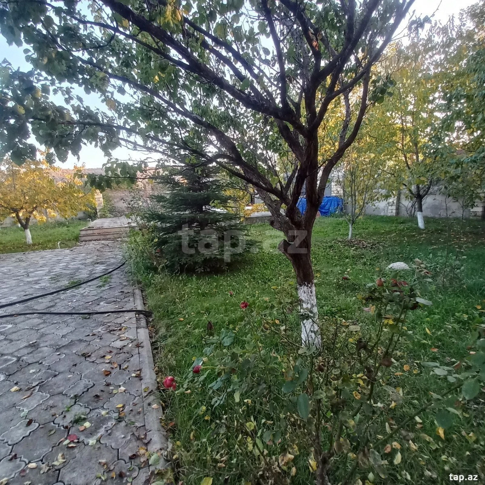 Satılır 6 otaqlı həyət evi