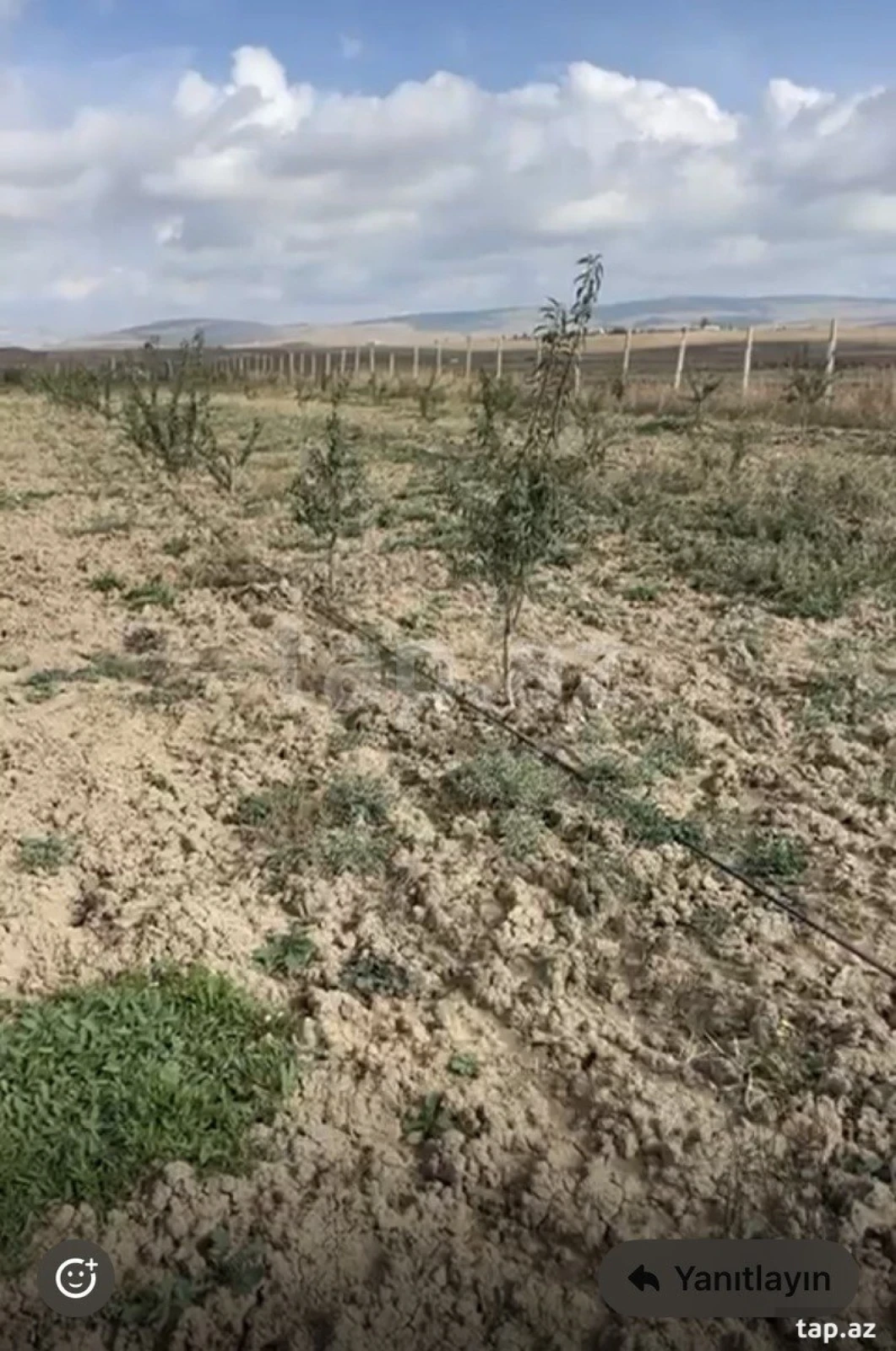 Satılır torpaq sahəsi