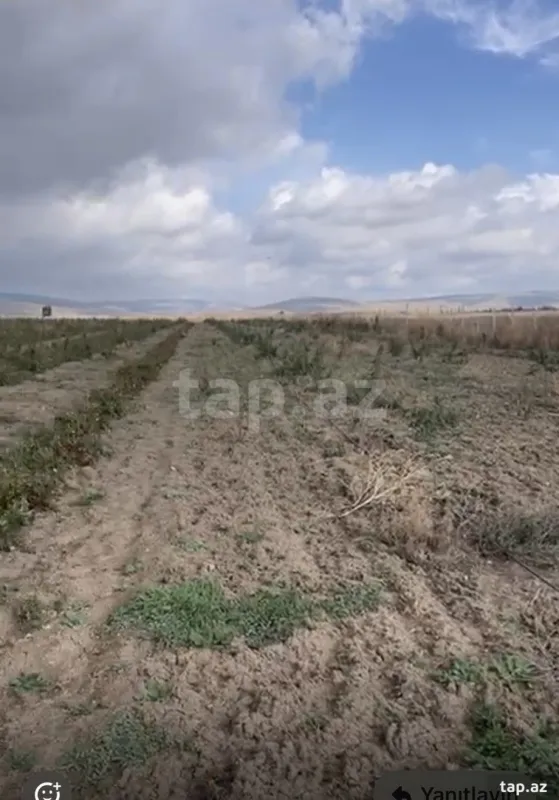 Satılır torpaq sahəsi