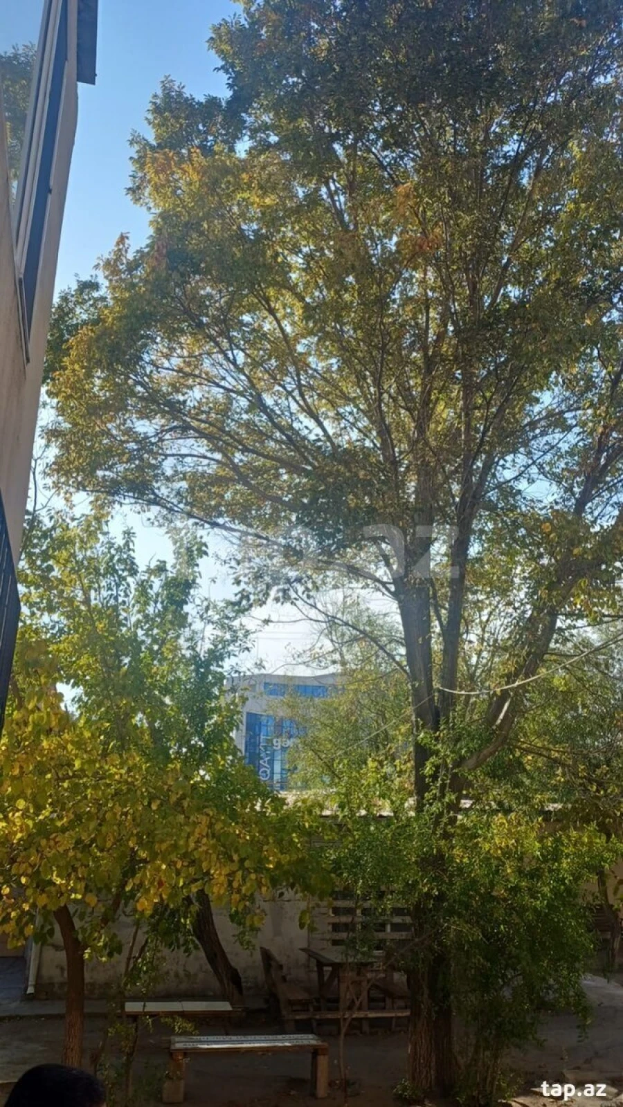 Kirayə verilir obyekt