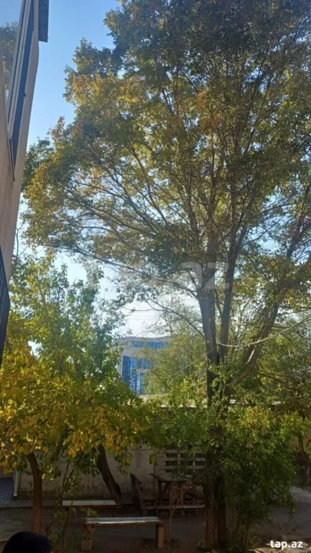 Kirayə verilir obyekt