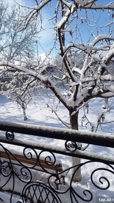 Kirayə verilir 5 otaqlı həyət evi