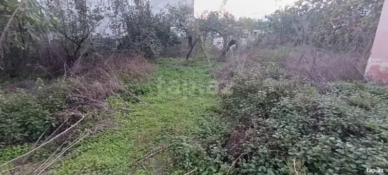 Satılır torpaq sahəsi — Astara