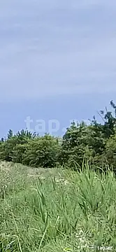 Satılır torpaq sahəsi — Xaçmaz