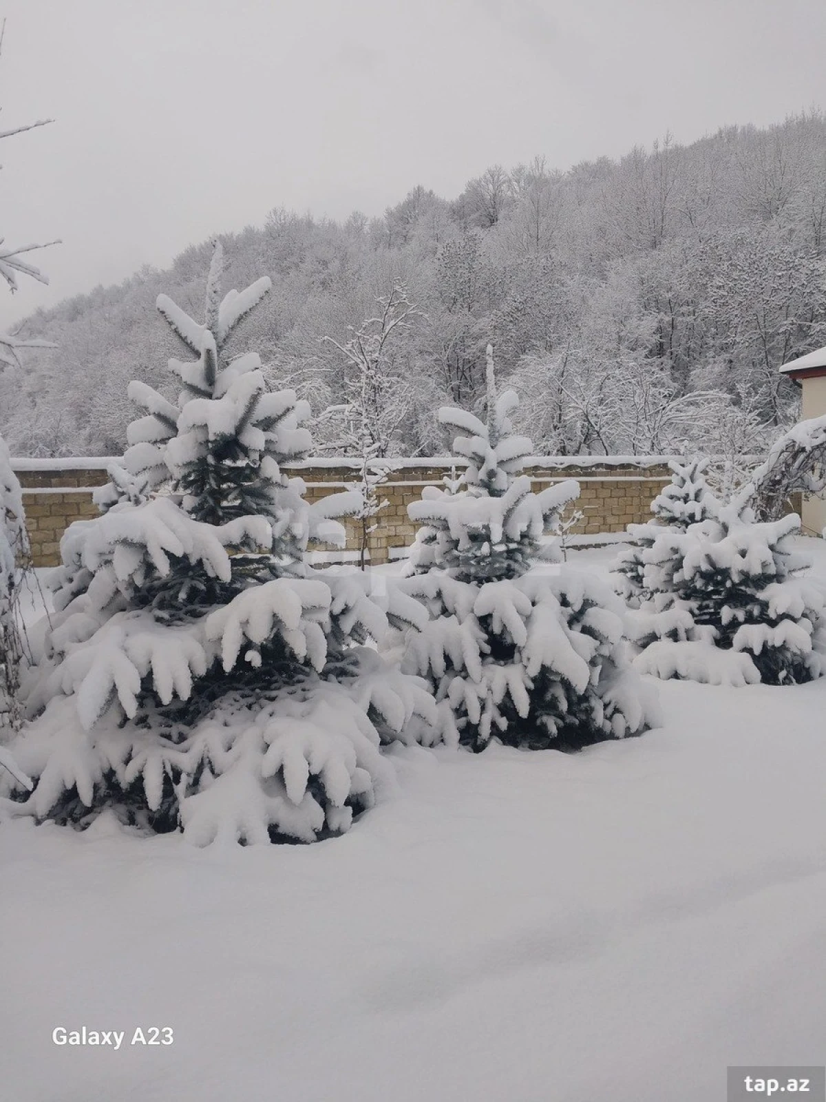 Kirayə verilir 3 otaqlı həyət evi