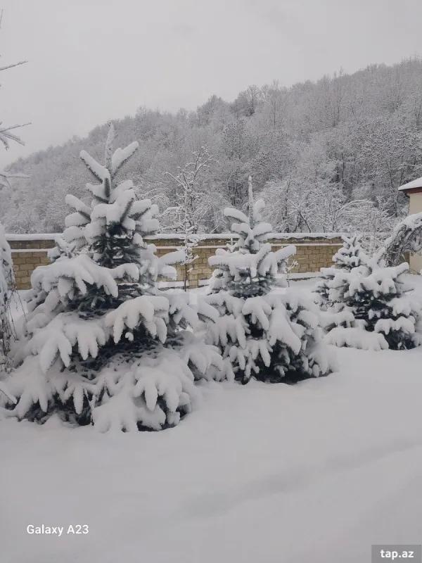 Kirayə verilir 3 otaqlı həyət evi