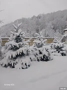 Kirayə verilir 3 otaqlı həyət evi