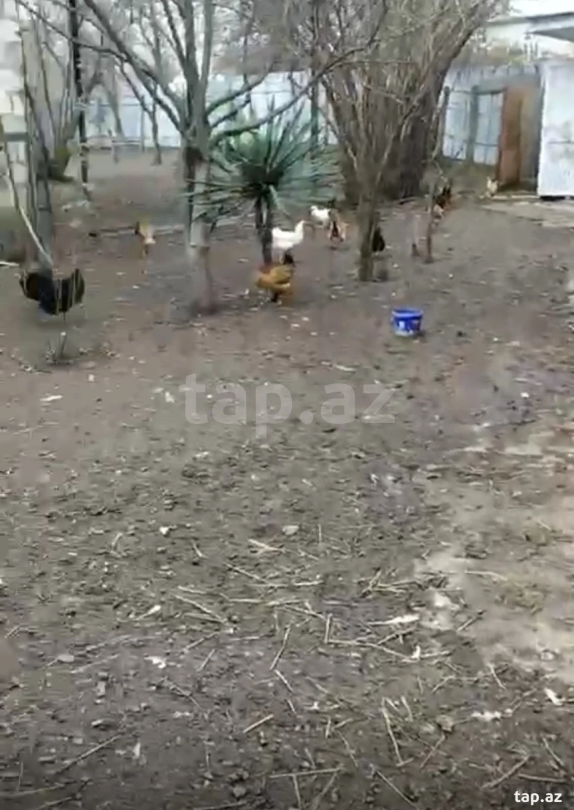 Satılır 2 otaqlı həyət evi