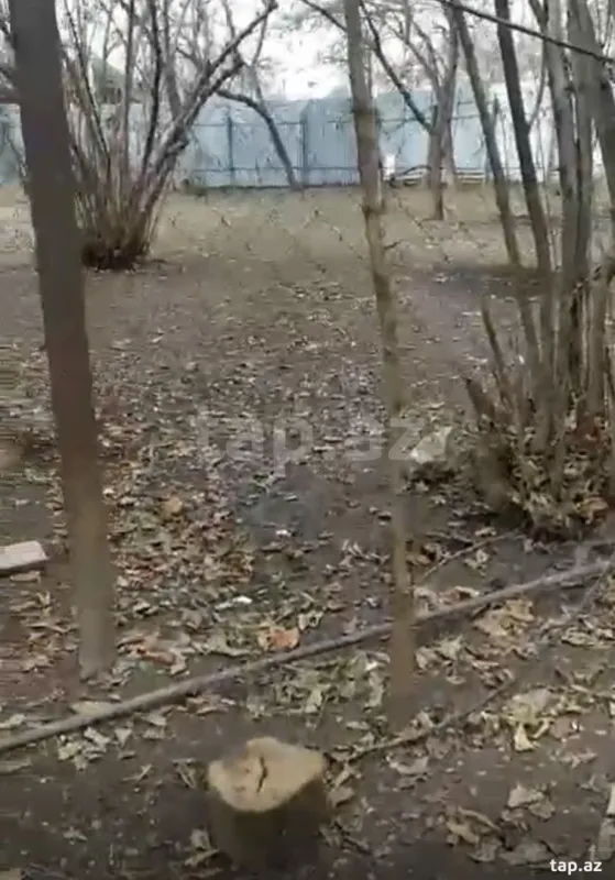 Satılır 2 otaqlı həyət evi