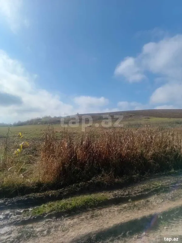 Satılır torpaq sahəsi