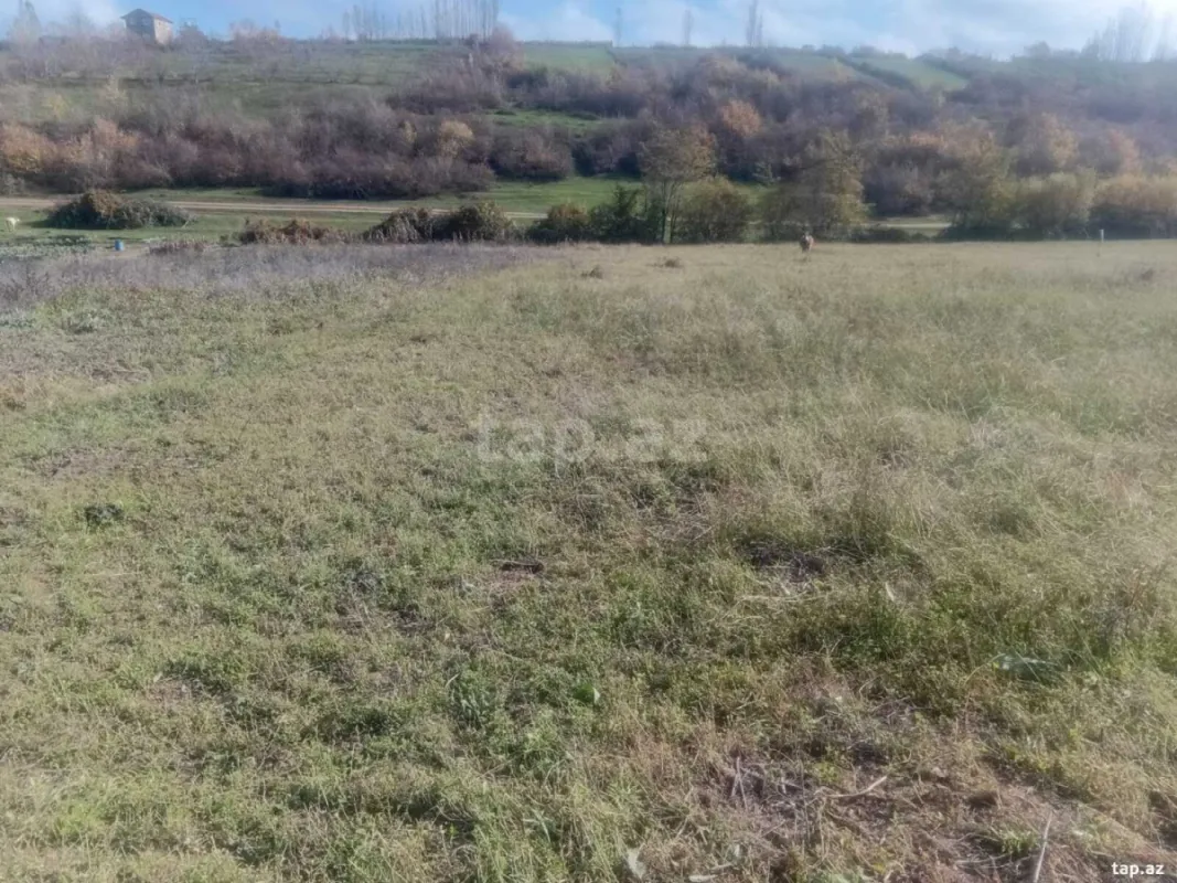 Satılır torpaq sahəsi