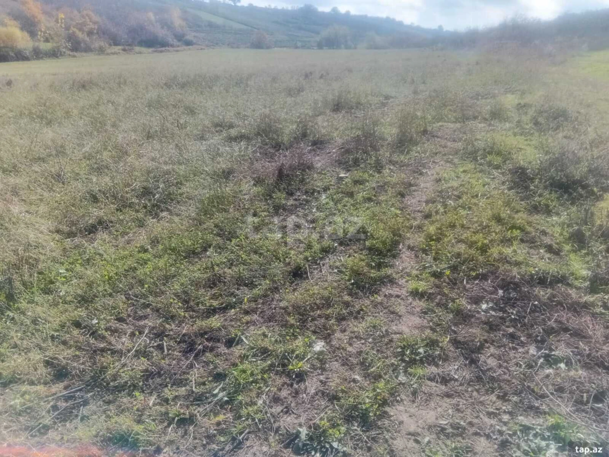 Satılır torpaq sahəsi