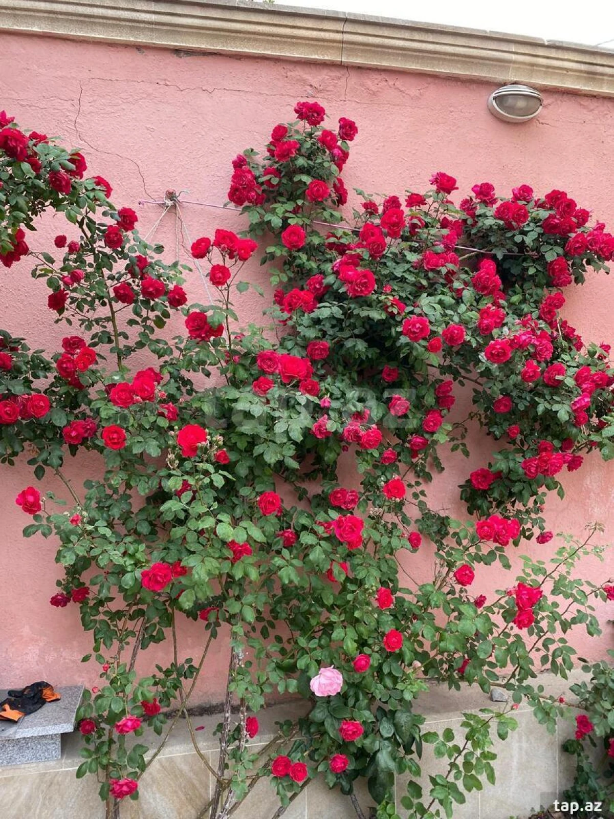 Satılır 8 otaqlı həyət evi