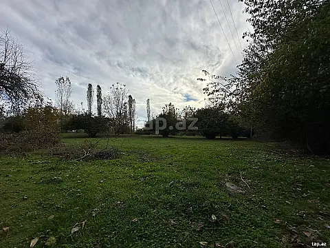 Satılır torpaq sahəsi — Qəbələ