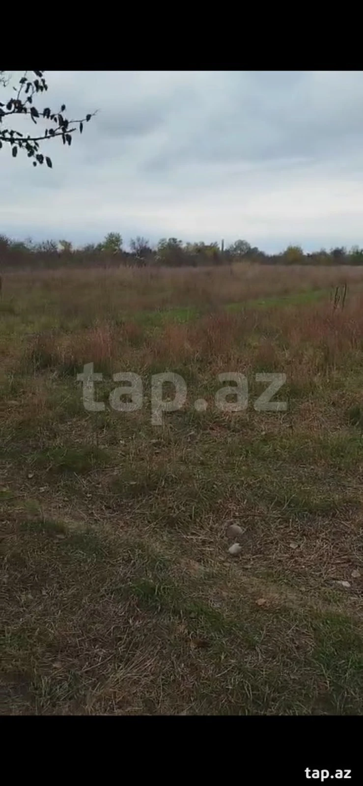 Satılır torpaq sahəsi
