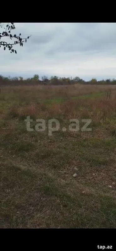 Satılır torpaq sahəsi