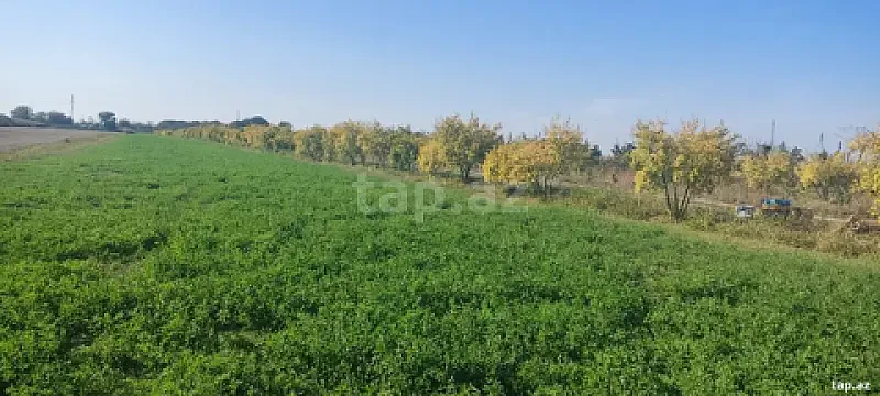 Satılır torpaq sahəsi — Bərdə