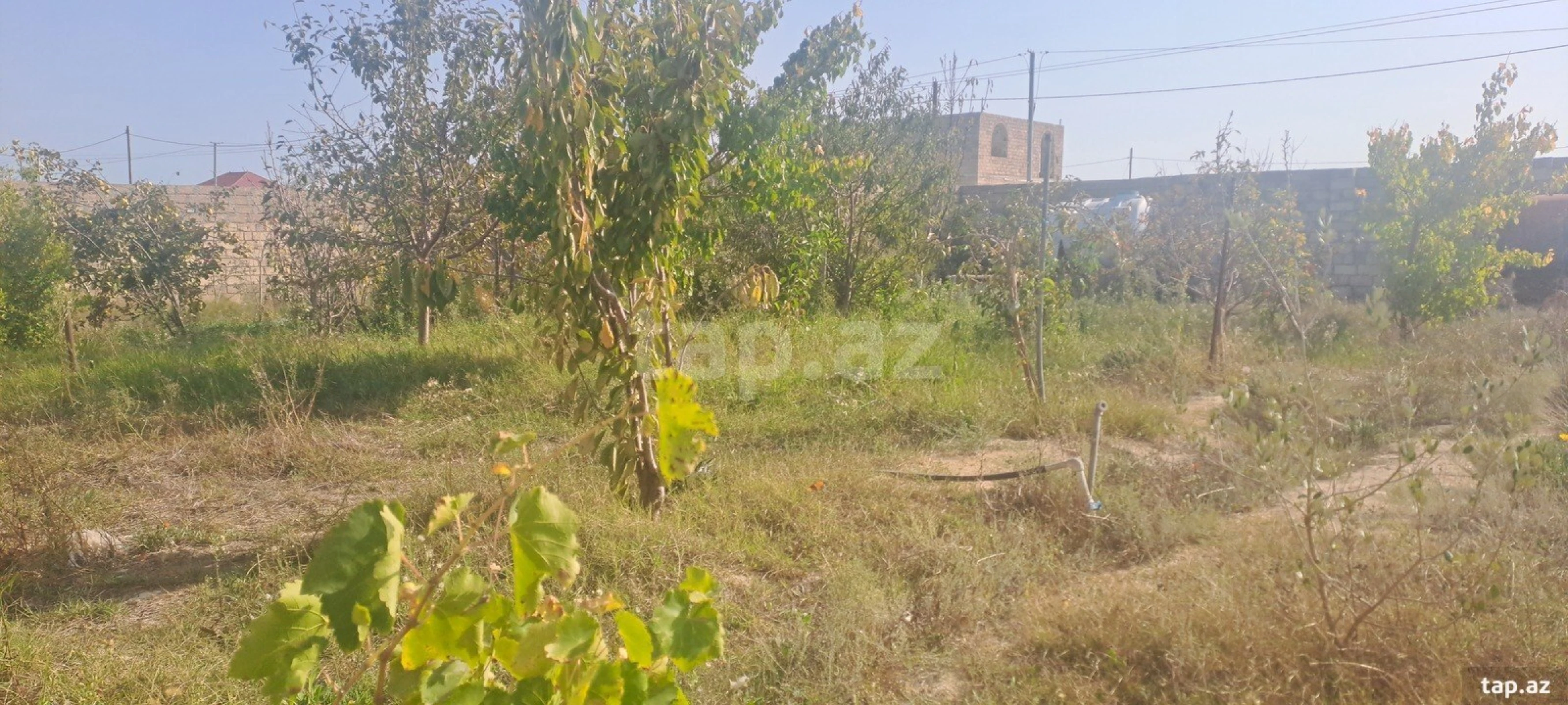 Satılır 2 otaqlı həyət evi