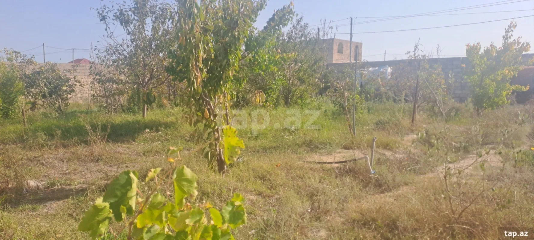 Satılır 2 otaqlı həyət evi