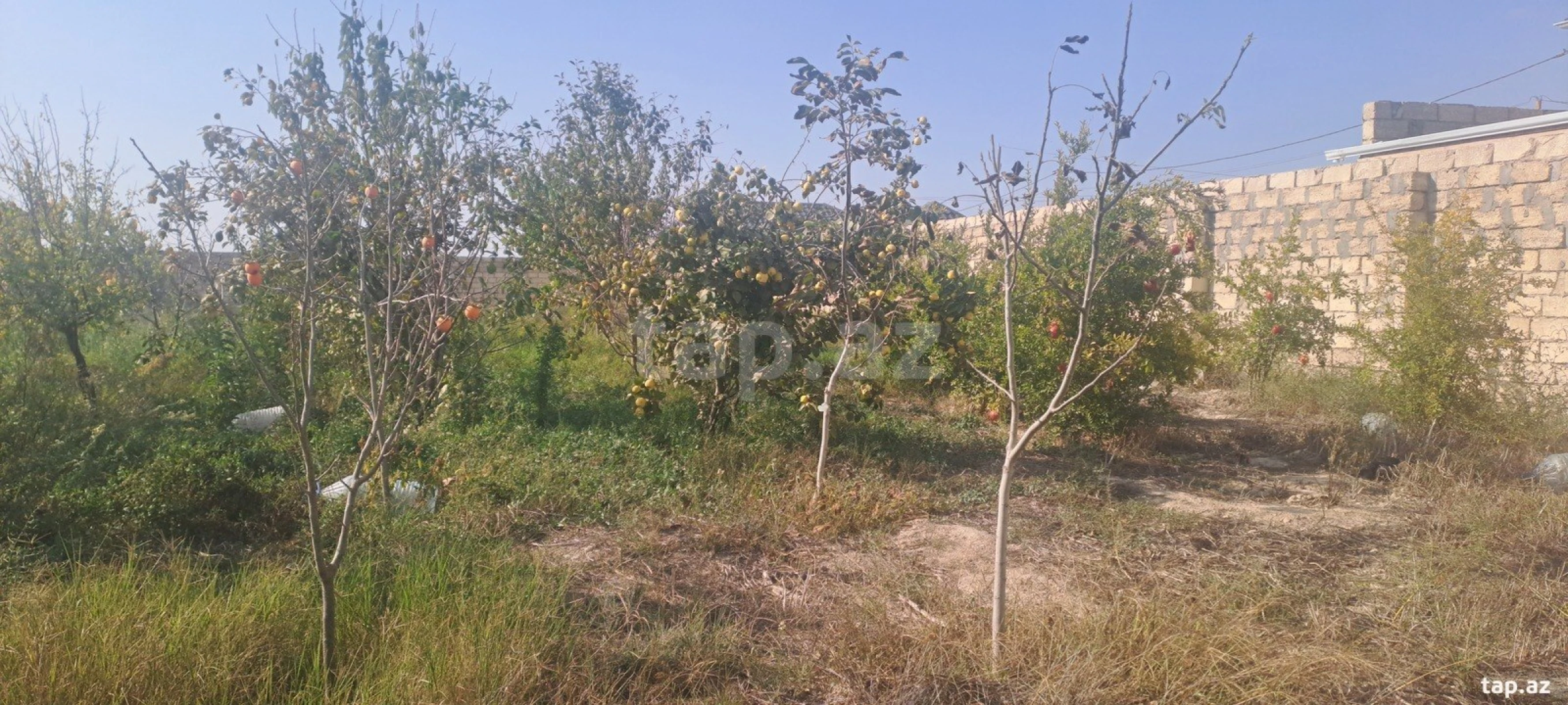 Satılır 2 otaqlı həyət evi